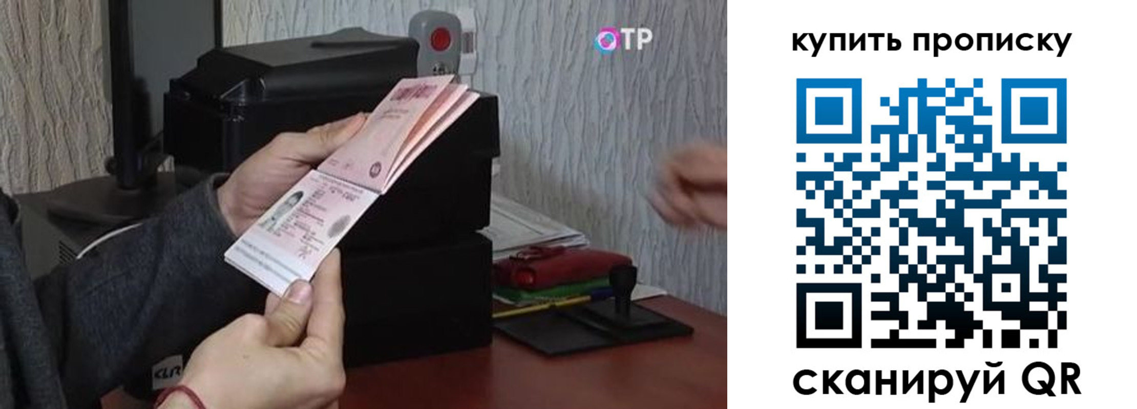 прописка гарантия в Ершове