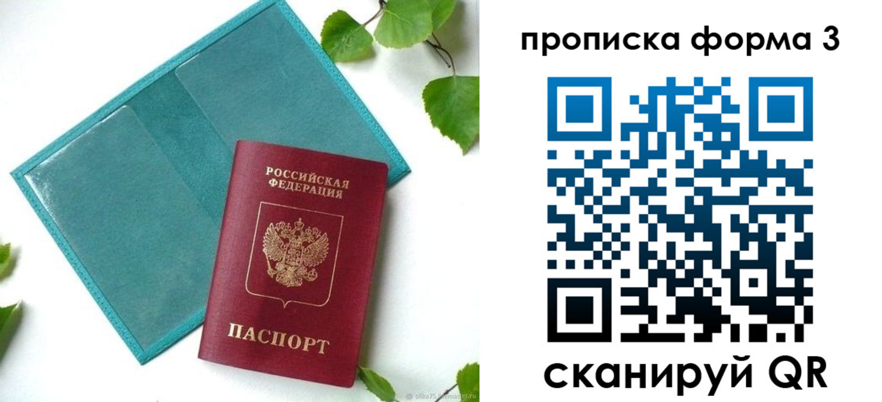 прописка ребенка в Ершове